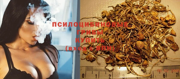 ALPHA-PVP Гусь-Хрустальный