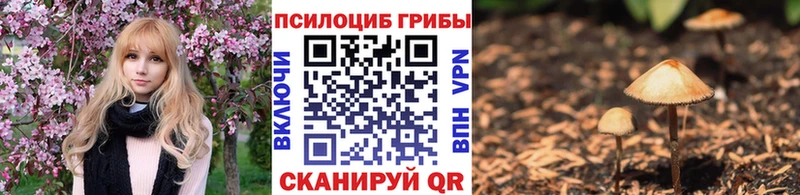 Галлюциногенные грибы мицелий  Купить где  Ноябрьск 